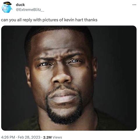 kevin hart staring meme